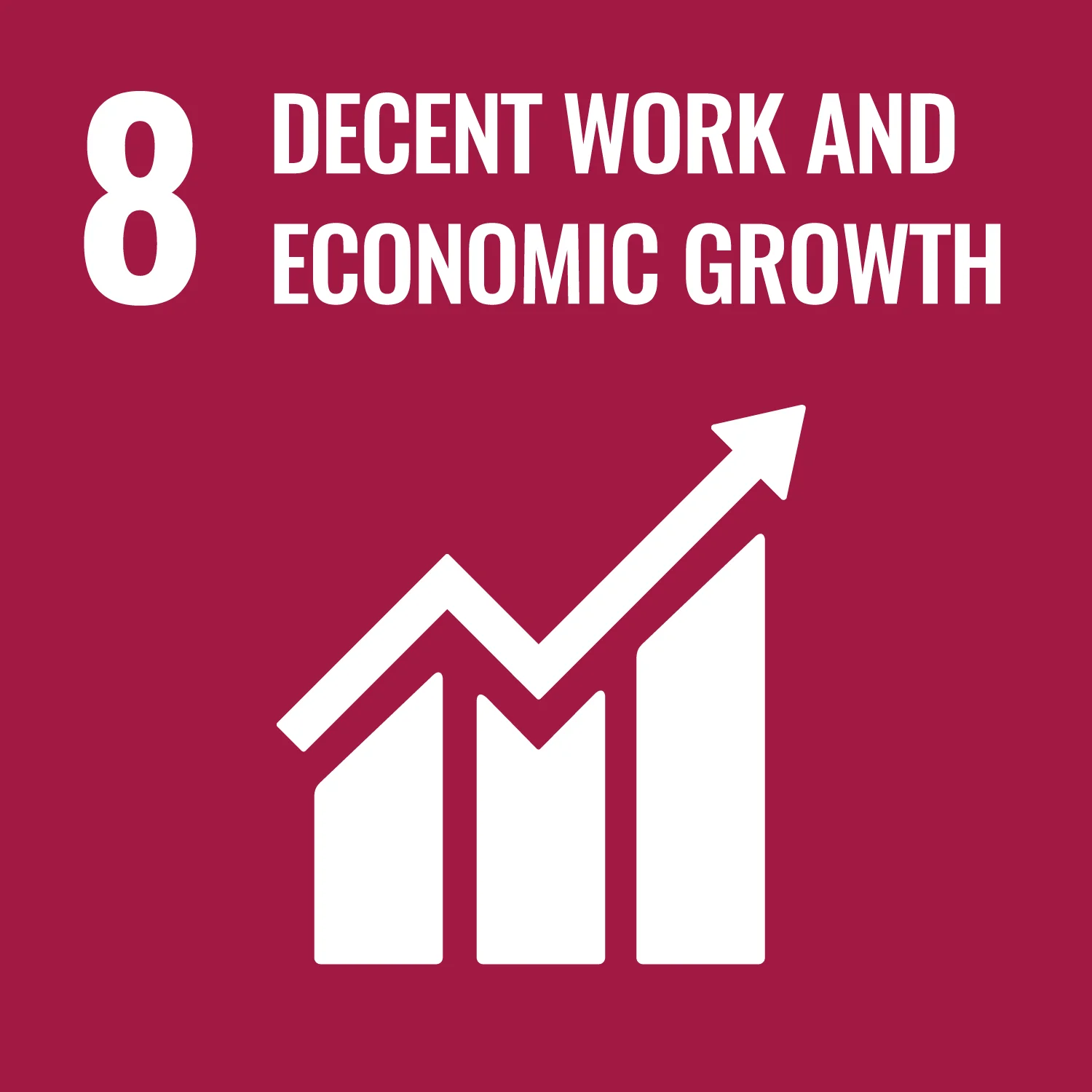 SDG8 Decent work and economic growth