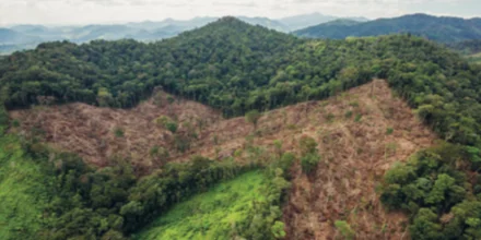 Ausblick in Honduras