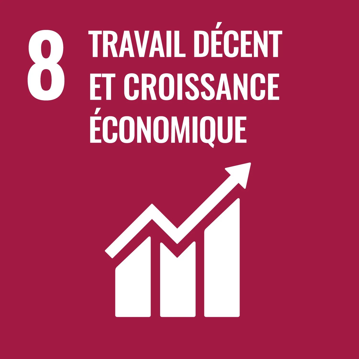 SDG8 Travail décent et croissance économique