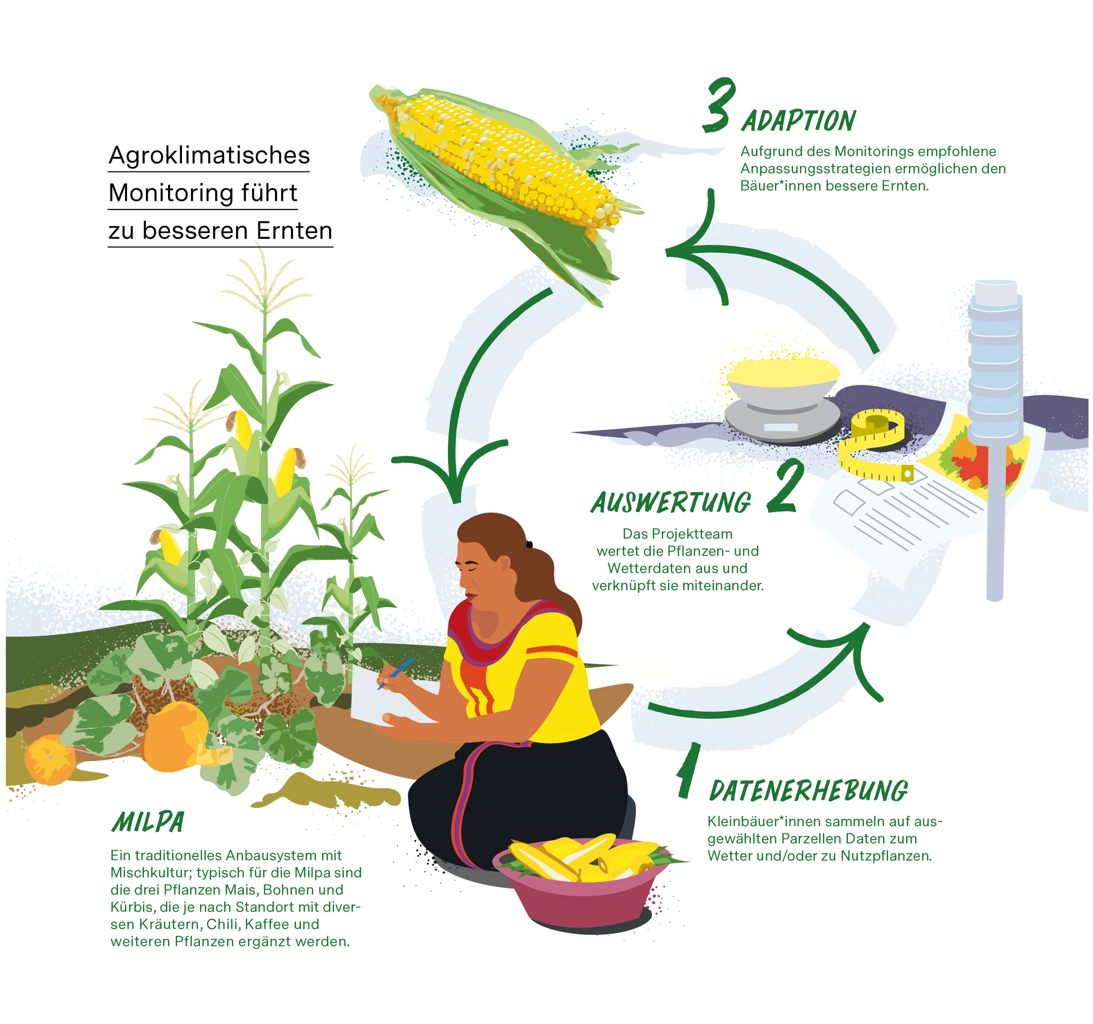 Illustration zur Funktion des agroklimatischen Monitorings