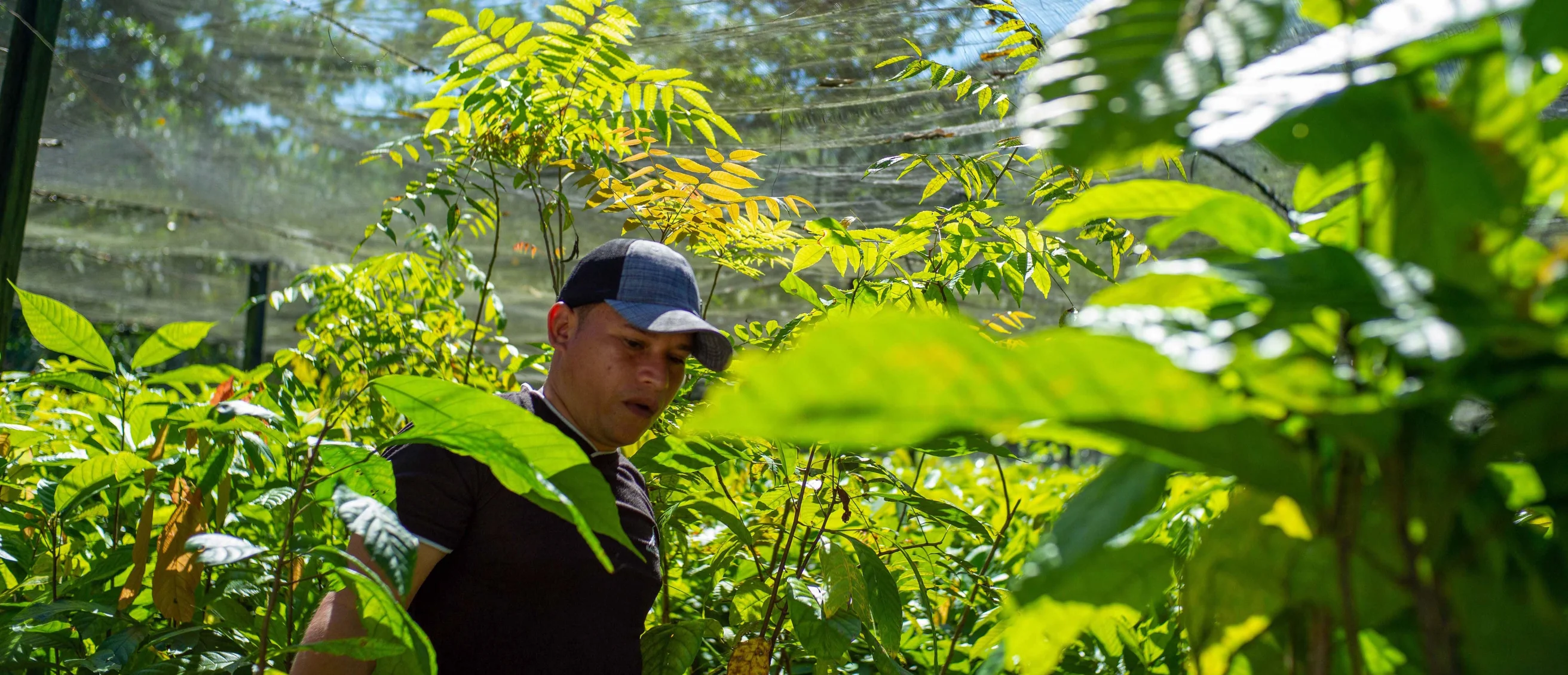 Honduras