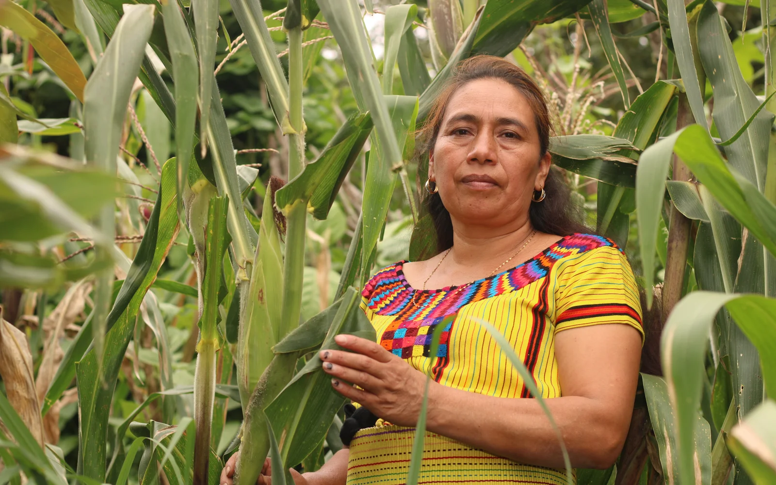 Kleinbäuerin Angélica im Milpa-Feld