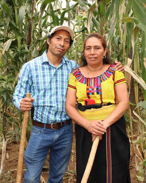 Cornelio und Angélica auf ihrem Feld