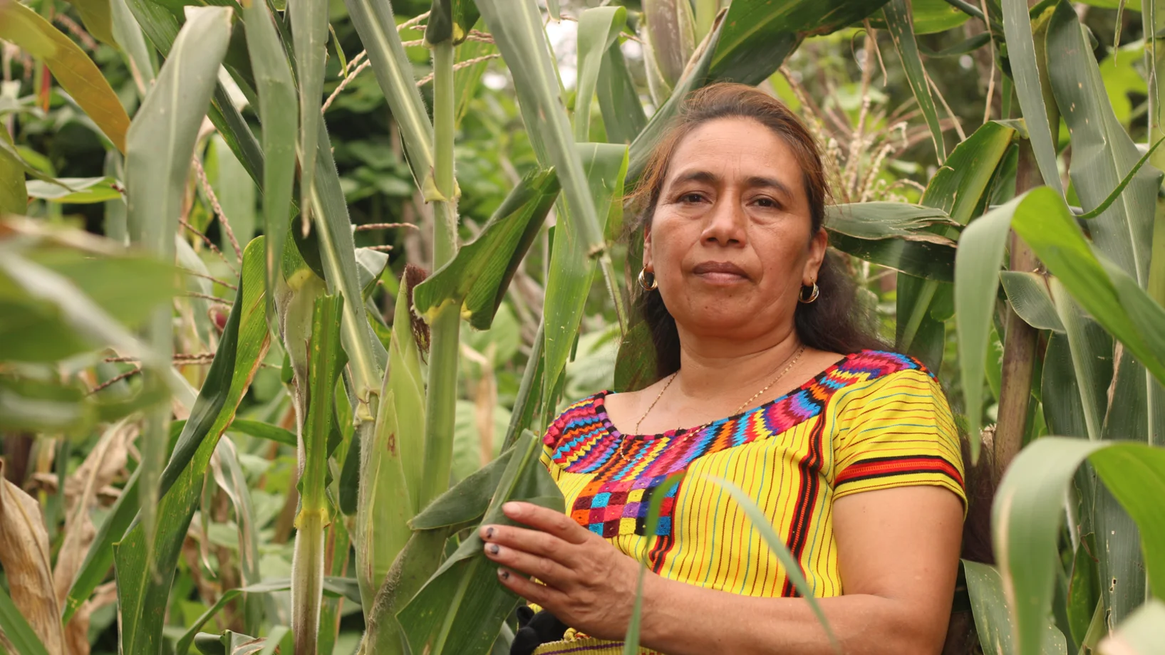 Kleinbäuerin Angélica im Milpa-Feld